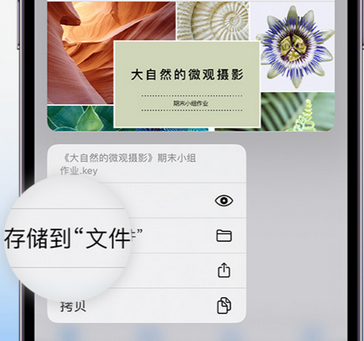 弋阳apple维修中心分享iPhone文件应用中存储和找到下载文件