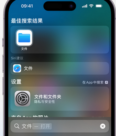 弋阳apple维修中心分享iPhone文件应用中存储和找到下载文件 