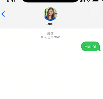 弋阳apple维修iPhone上无法正常发送iMessage信息