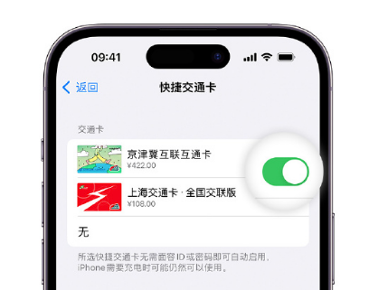 弋阳apple维修点分享iPhone上更换Apple Pay快捷交通卡手绘卡面 