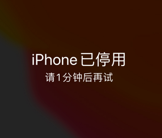 弋阳苹果手机维修分享:iPhone 显示“不可用”或“已停用”怎么办？还能保留数据吗？ 