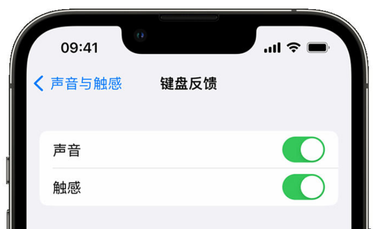 弋阳苹果手机维修分享iPhone 14触感键盘使用方法 