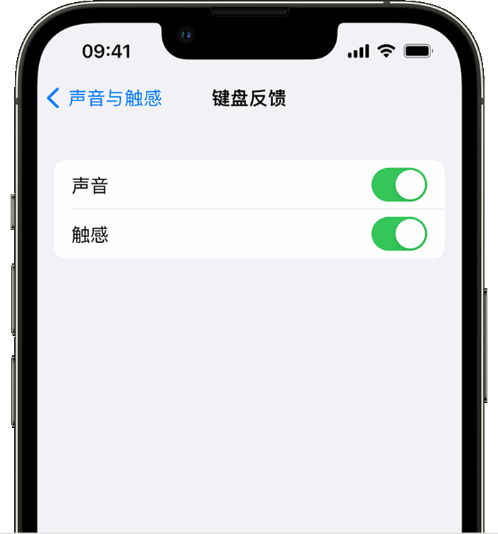 弋阳苹果14维修店分享如何在 iPhone 14 机型中使用触感键盘 