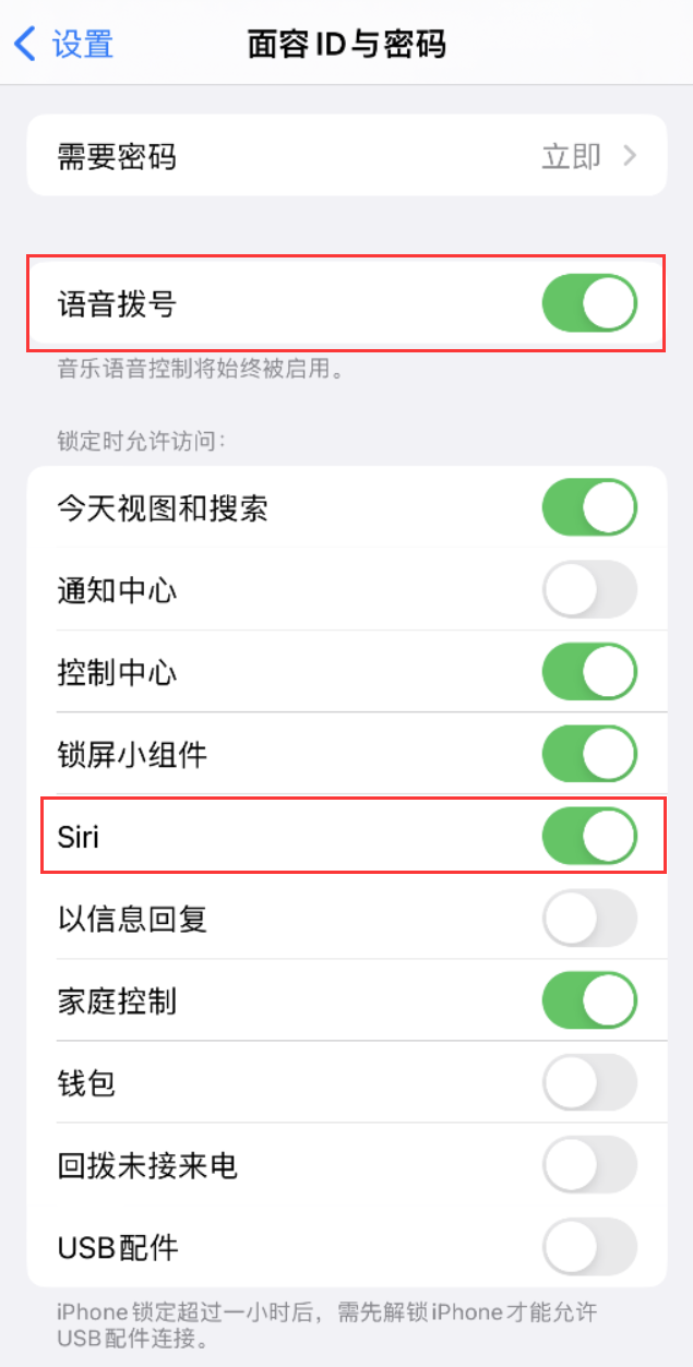 弋阳苹果维修网点分享不解锁 iPhone 的情况下通过 Siri 拨打电话的方法 