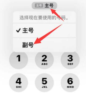 弋阳苹果14维修店分享iPhone 14 Pro Max使用副卡打电话的方法 