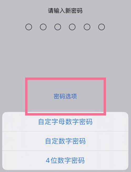 弋阳苹果14维修分享iPhone 14plus设置密码的方法 