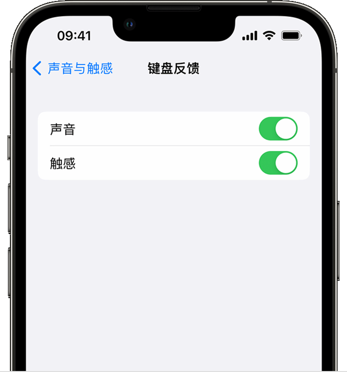 弋阳苹果14维修分享iPhone 14 系列机型如何开启键盘声音或触感反馈 