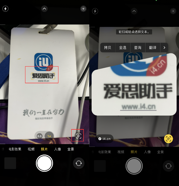 弋阳苹果手机维修分享升级iOS 16后如何通过相机翻译文本 