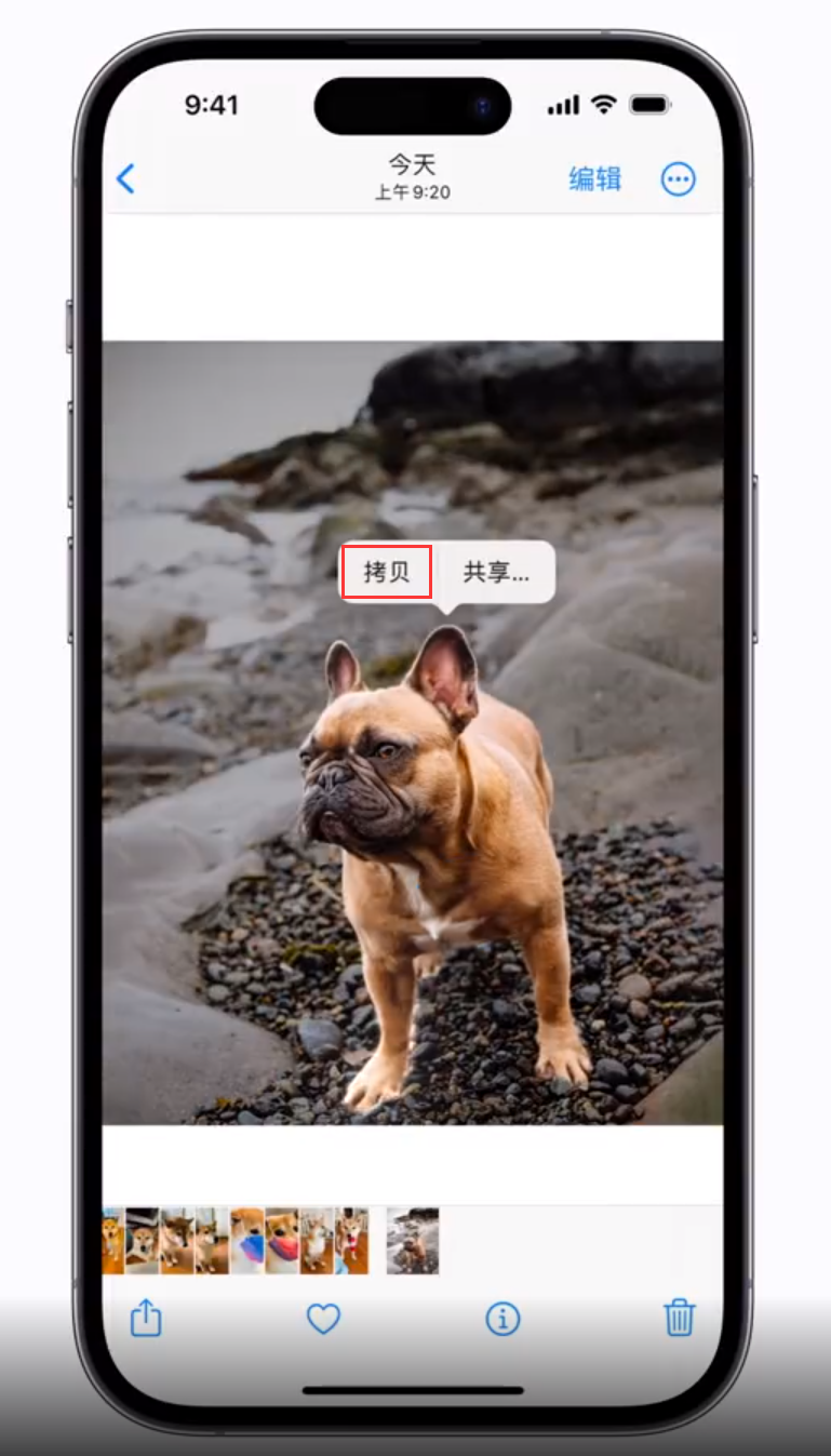 弋阳 苹果手机维修分享iOS 16 “照片”应用更新内容与改进汇总 