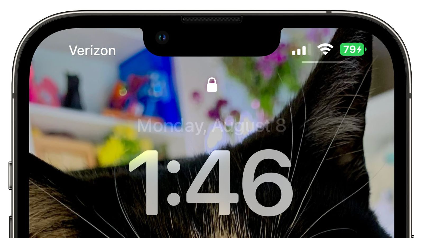 弋阳苹果手机维修分享iOS 16 beta 5 支持状态栏显示电池百分比，如何开启？支持哪些机型 
