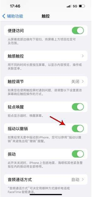 弋阳苹果手机维修分享iPhone手机如何设置摇一摇删除文字 