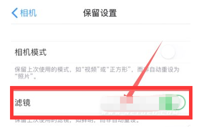 弋阳苹果13维修分享iPhone13拍照有绿点是怎么回事 