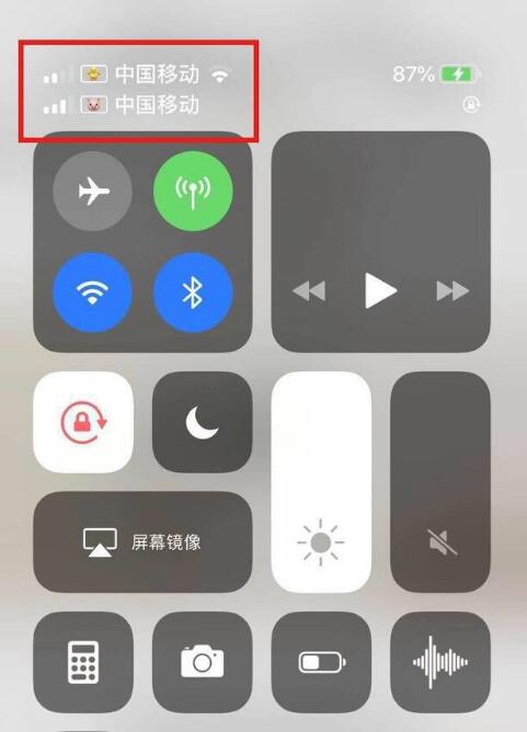 弋阳苹果手机维修分享为 iPhone 12 双卡设置标签 