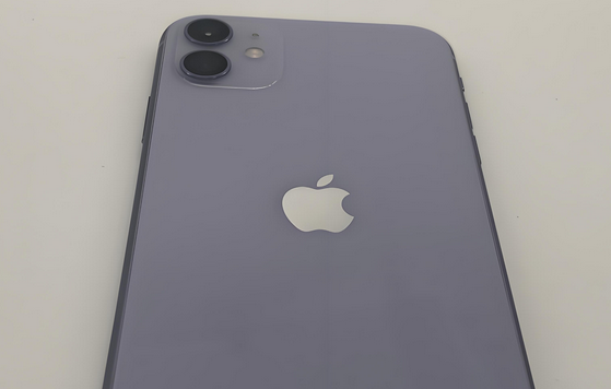 弋阳苹果11系统维修分享iPhone11手机系统崩溃无法开机如何解决 